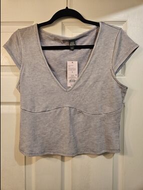 wild fable Heather Gray Ribbed V-Neck Crop Top